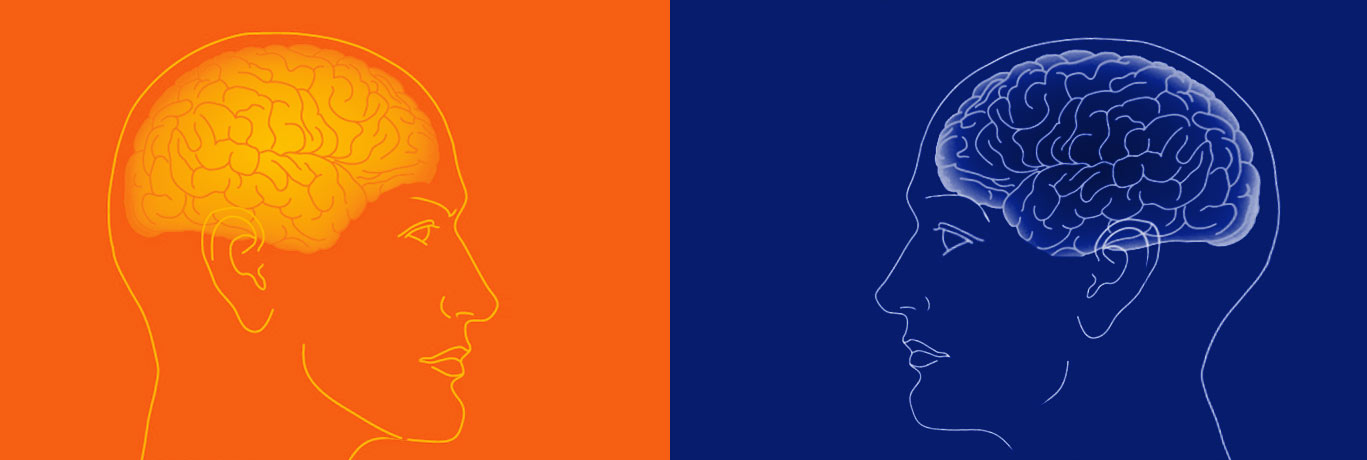 Myers Briggs Psychometric profile tests